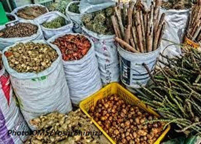 Des feuilles, écorces d'arbres et autres intrants de médecine traditionnelle. Photo: OMS/Yoshi Shimizu